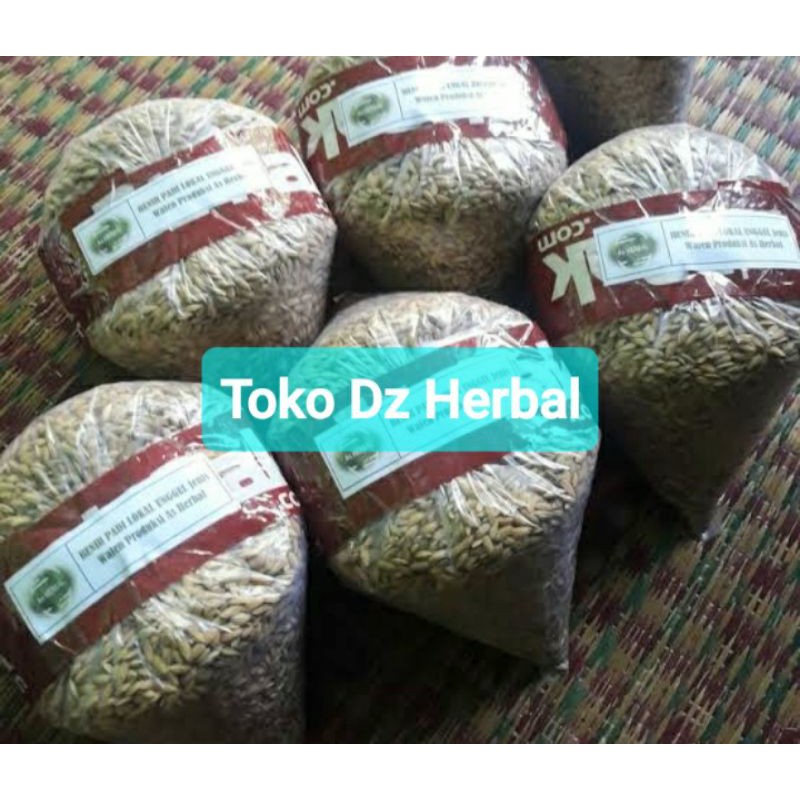 Benih padi lokal super pulen pilihan-az