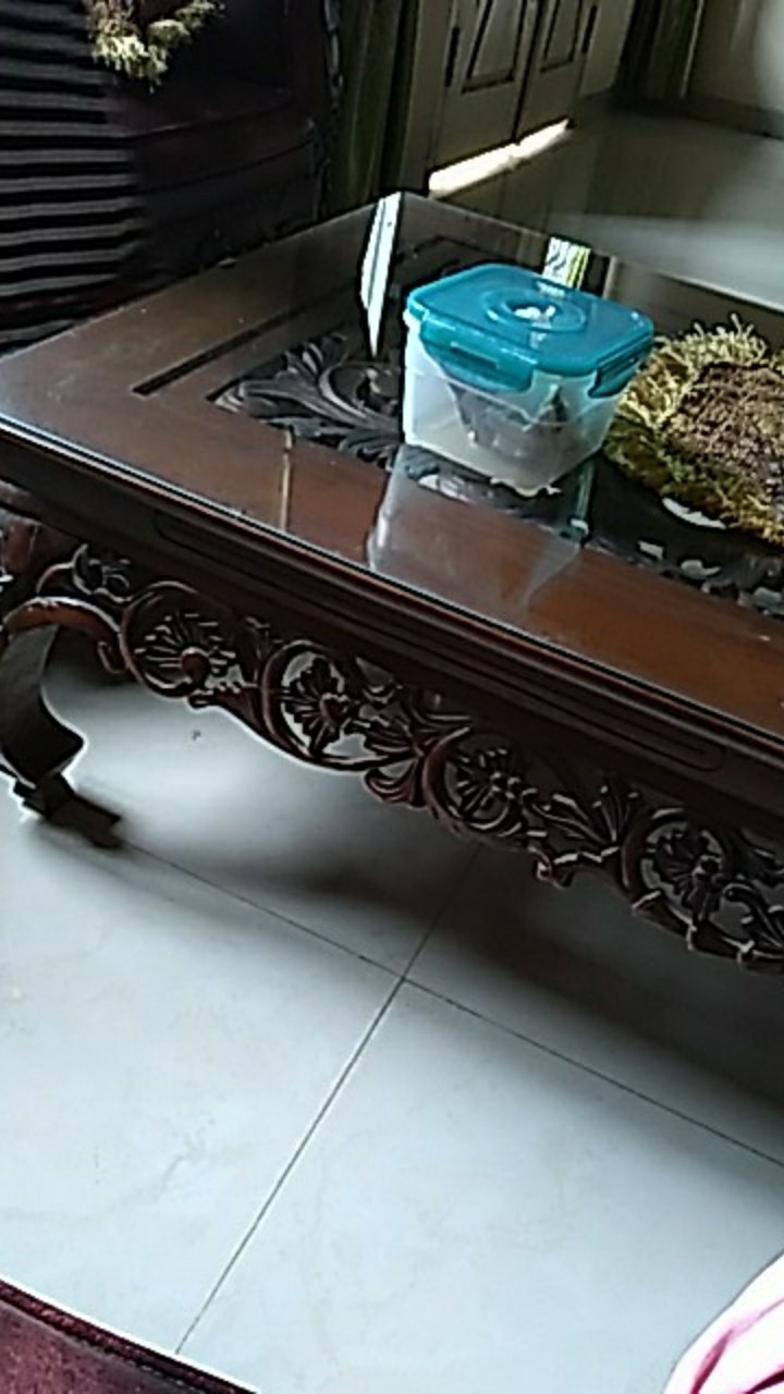 Jhwc07 Gantungan Kait Tempel Family Self Adhesive Hook 1 Set Isi 3 Pcs Cantelan Serbaguna Murah