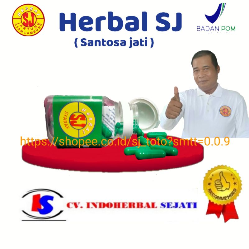 Herbal SJ syaraf 10 kapsul