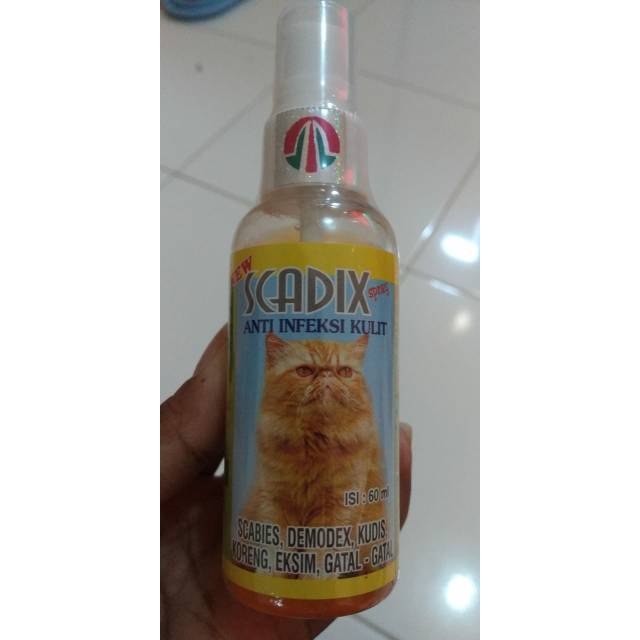 Scadix obat jamur buat kucing
