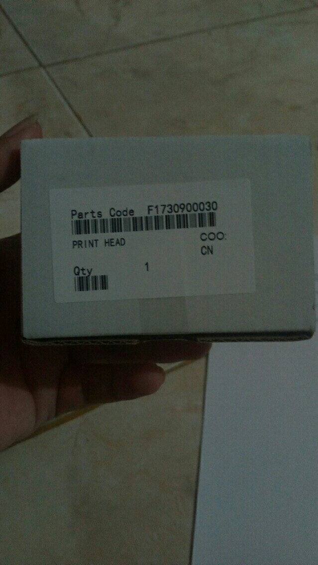 Print Head Epson 1390 L1800 | Shopee Indonesia