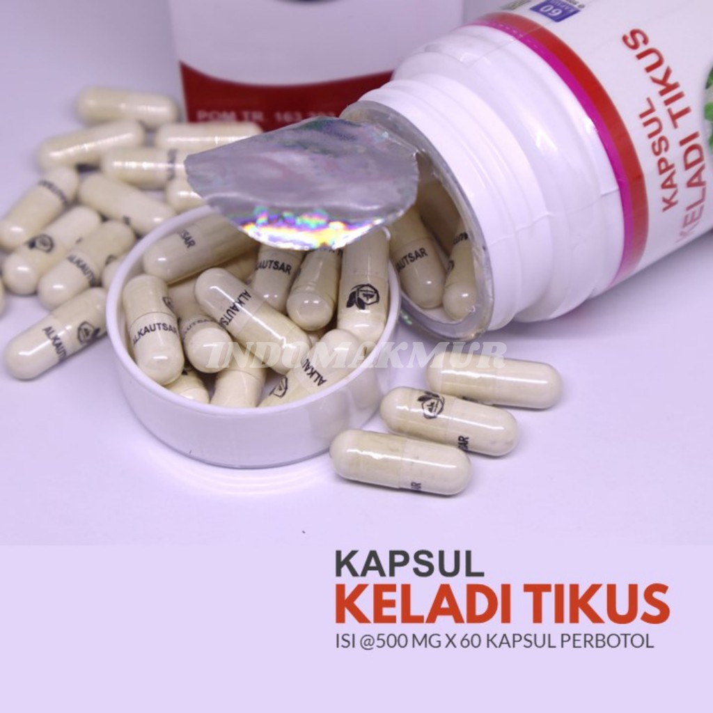 [Original] Kapsul Keladi Tikus Ekstrak Asli