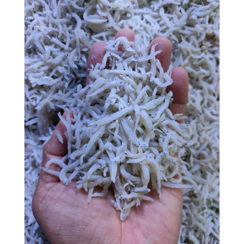 

Gudang Sayur - Teri Medan GRADE A