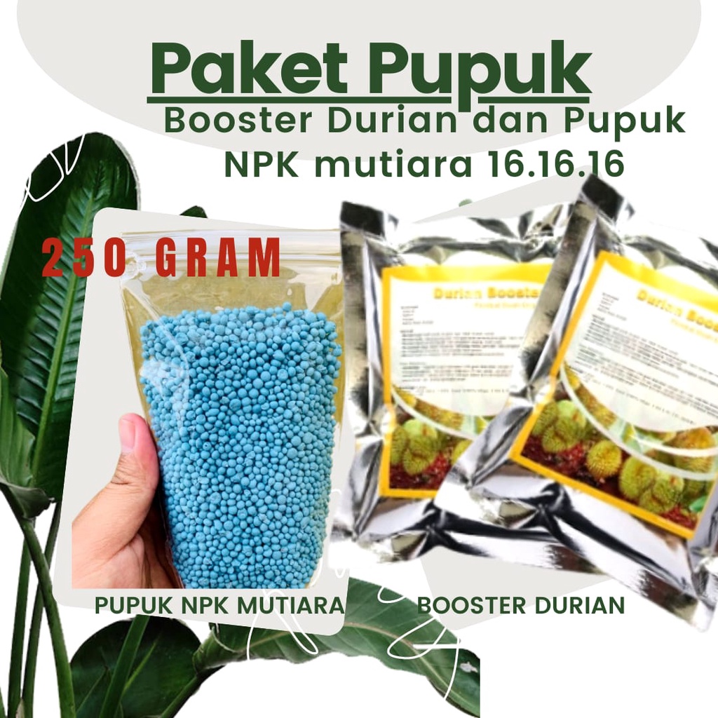 PAKET LENGKAP Pupuk Booster Pelebat Buah  Pohon Durian Plus Pupuk NPK Mutiara 16.16.16 250 gram //  