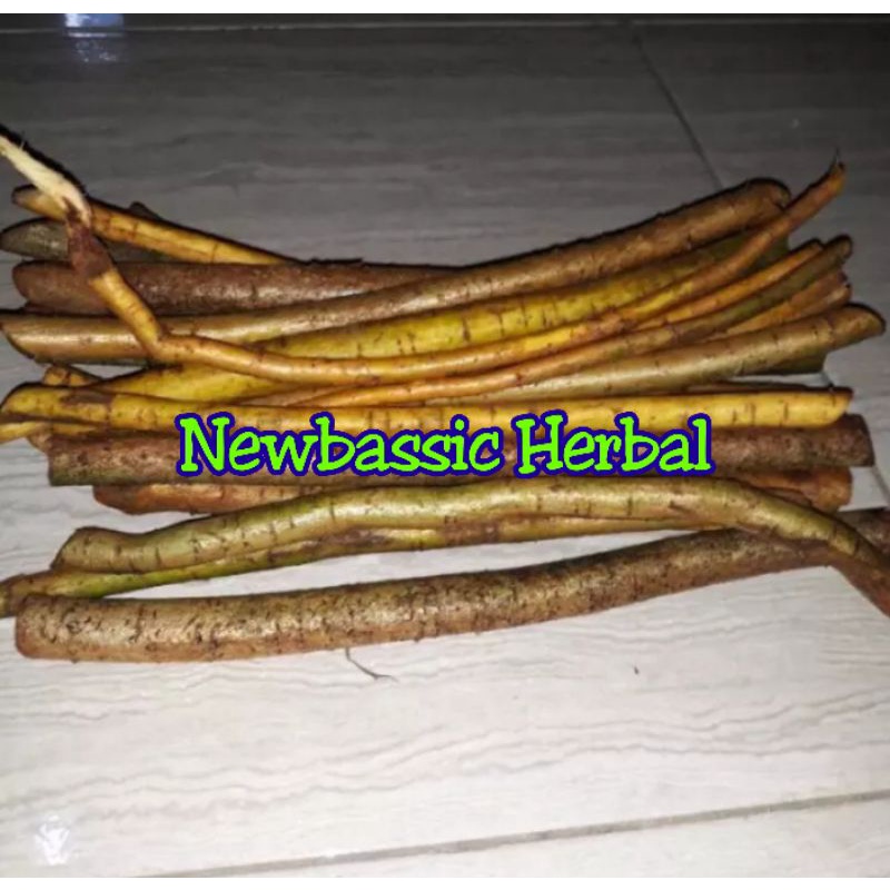 akar tuba fresh 1kg