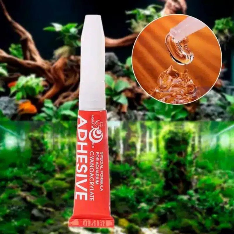 lem moss aquascape lem untuk moss