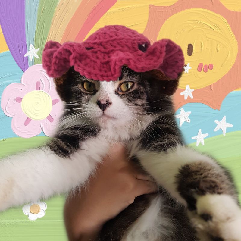 topi kucing rajut handmade-fuschia