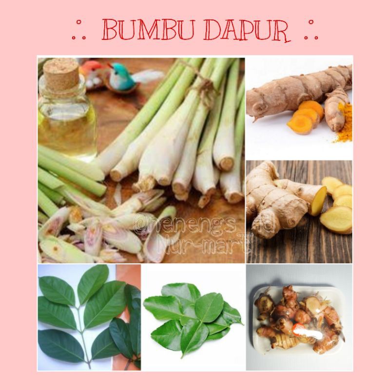 

[PASAR ONLINE] BUMBU DAPUR / REMPAH-REMPAH