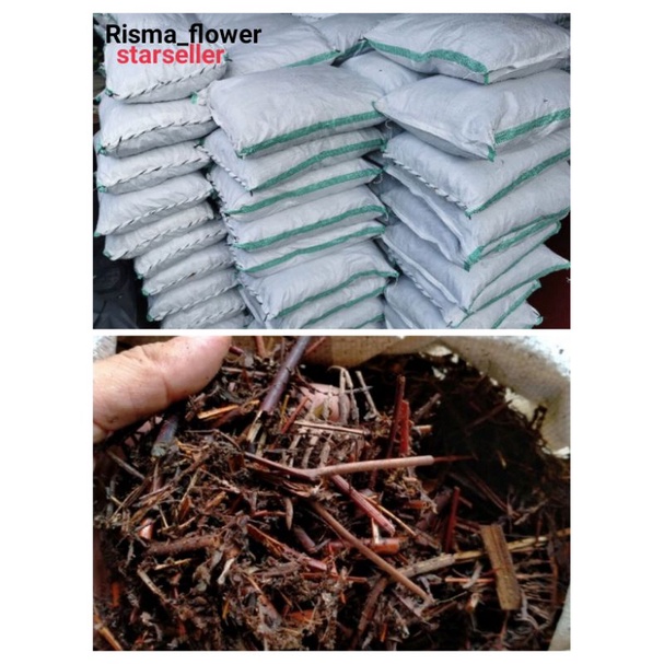 MEDIA TANAM ANDAM KARUNGAN / MEDIA ANDAM PER KARUNG 5-7 KG