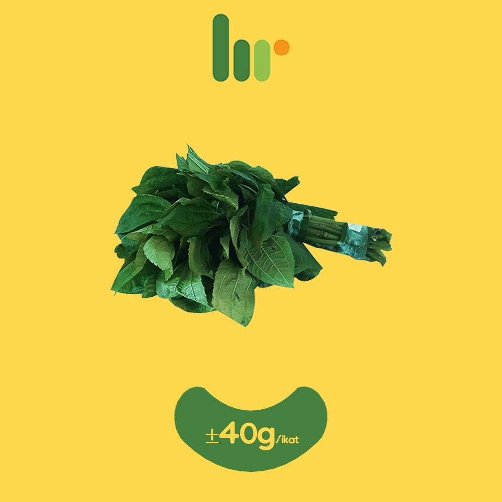 

Daun Pohpohan