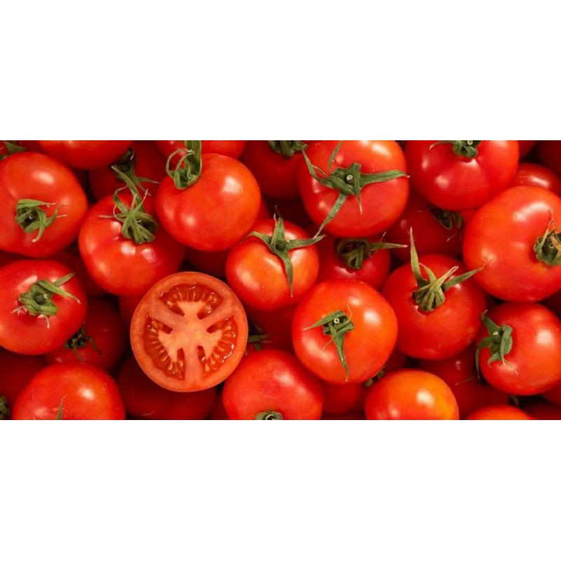 

tomat/tomato/pelengkap