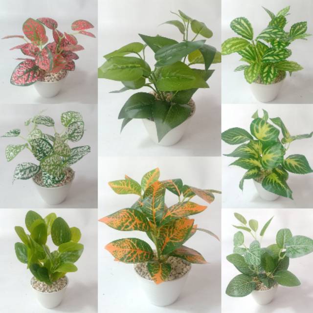  Mini  Daun Artificial X3 Pot  Tawon  10cm Shopee Indonesia