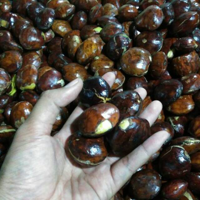 

Jengkol