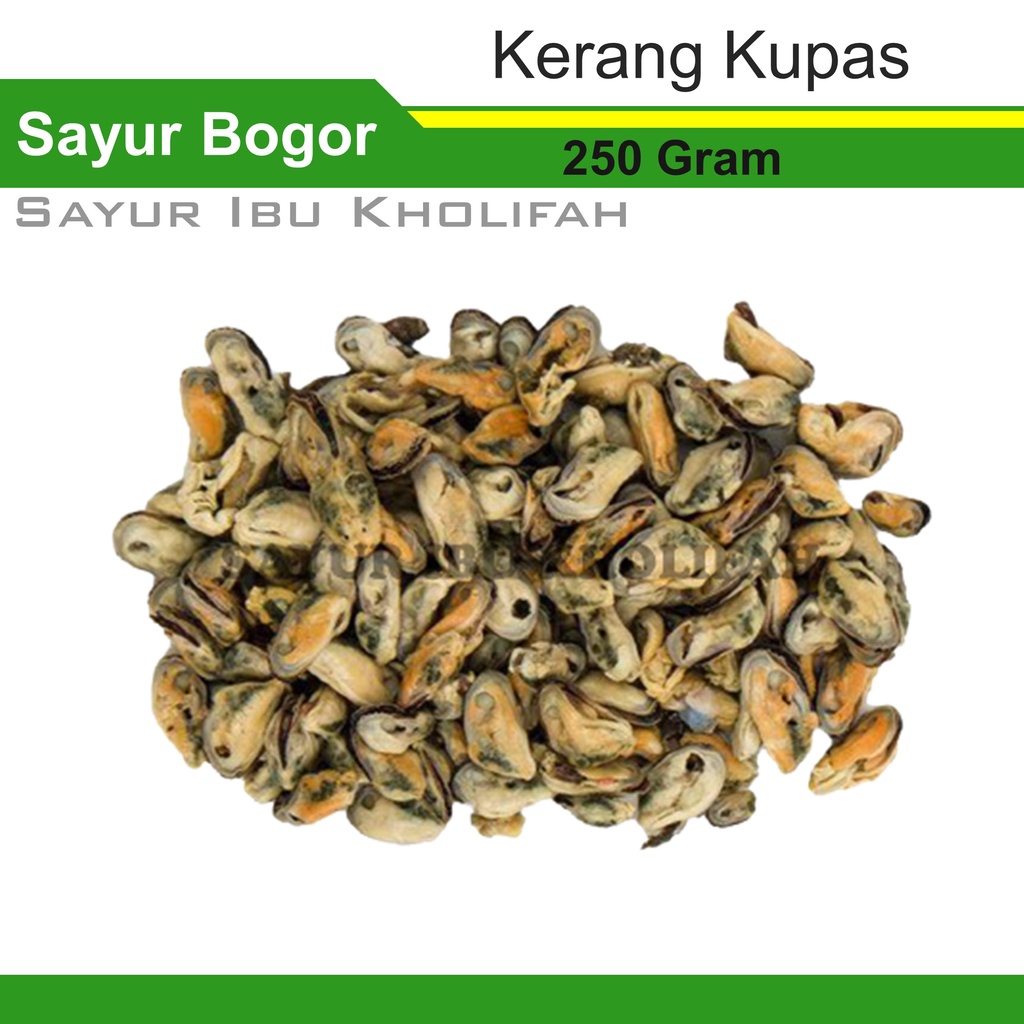 Kerang Ijo Kupas Remis 250 Gram Lauk Pauk Ikan Hasil Laut Segar Bogor