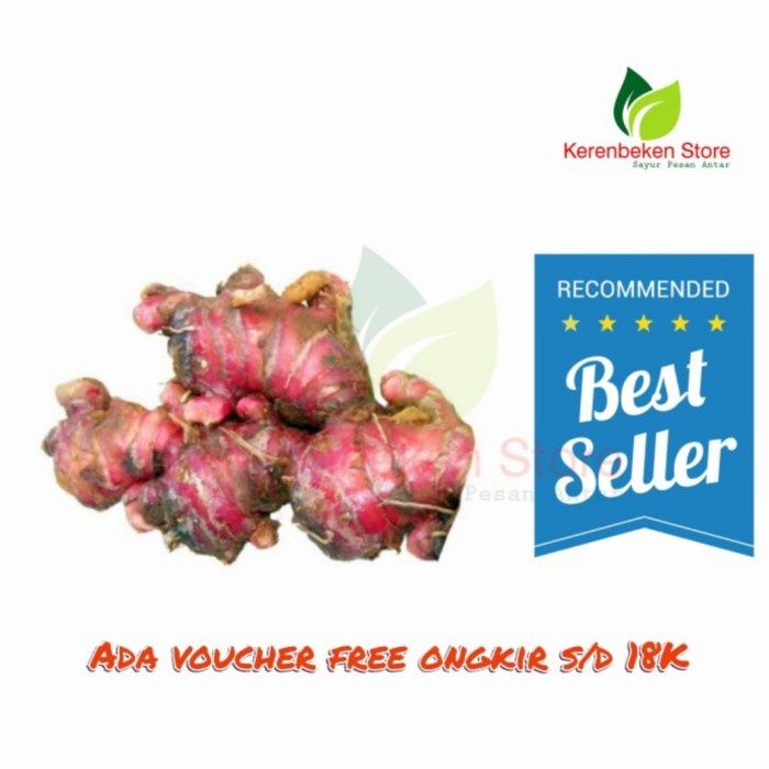 

Jahe Merah per 250 gram