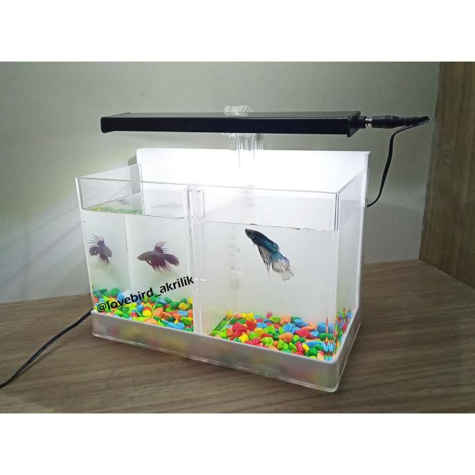 |Terbaru| Aquarium Mini Akrilik, Aquarium Sekat, Aquarium Cupang, Soliter Cupang |Promo
