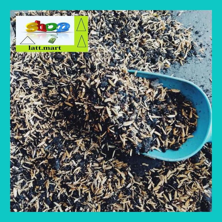 

Yu04Yts Media Tanam Kaktus Succulent Porositas Tinggi 500Gram Yul0F40Ul