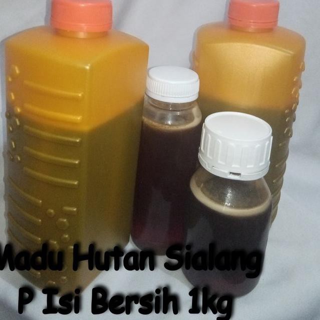 

Terbatas KCEQK Madu Hutan Sialang P 1kg 67 Ready Stock