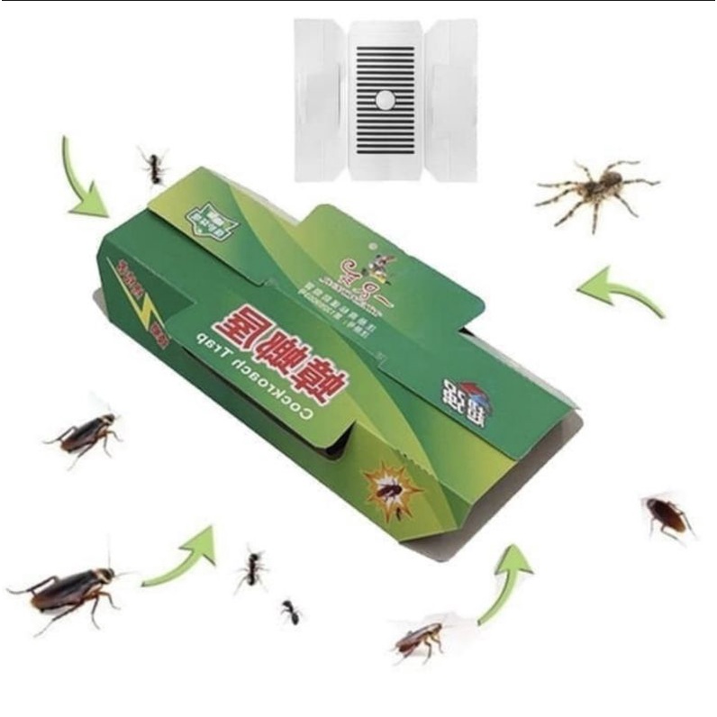 perangkap kecoa lem cicak mirip hoy hoy ampuh
