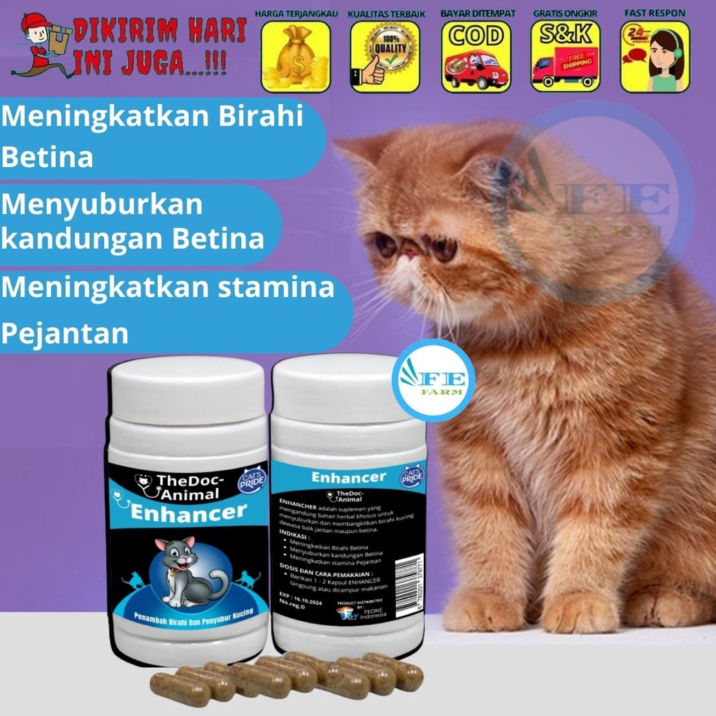 Obat Kucing Penambah Birahi Stamina Penyubur Kucing Cat Kitten Enhancer FEFARM