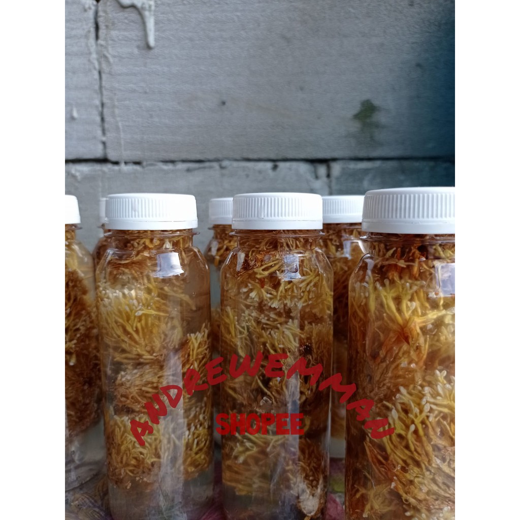 spora bibit biang jamur JAKABA pupuk organik