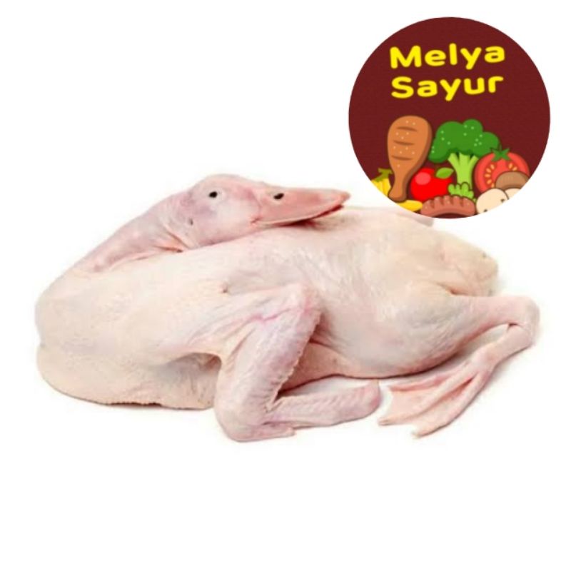 

Melyasayur - Bebek Peking leher panjang kurang lebih 1kg - Daging segar