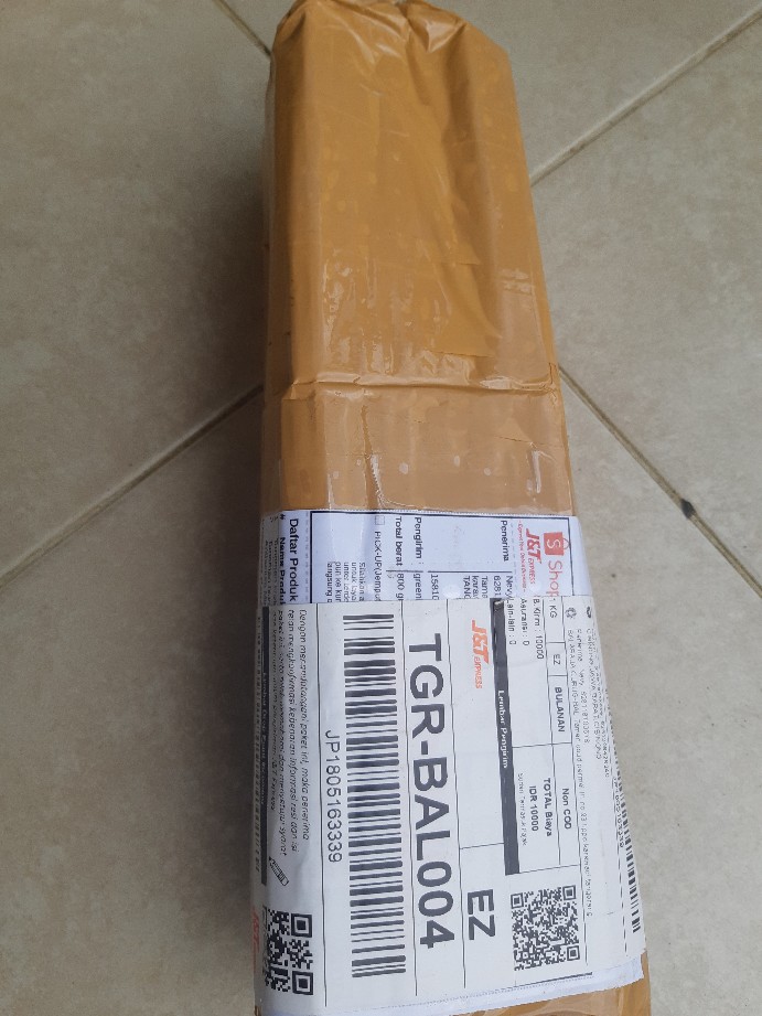 Tanaman Krokot Salju