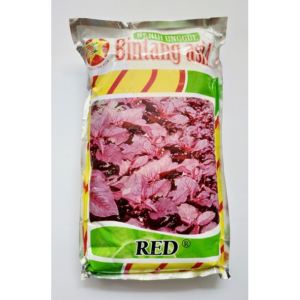 Benih Biji Bayam Merah Red Pack - 500 Gram - Bintang Asia