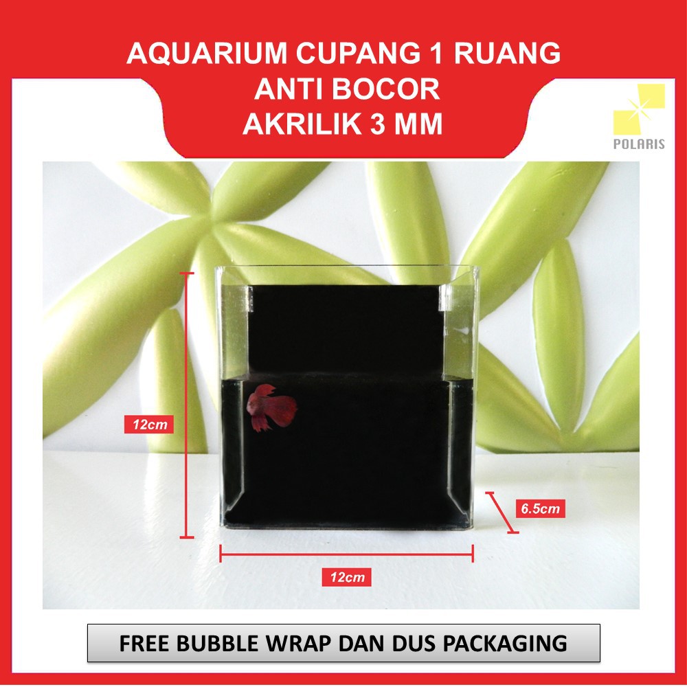 AKUARIUM IKAN CUPANG AKRILIK / AQUARIUM ACRYLIC IKAN HIAS / SOLITER IKAN CUPANG