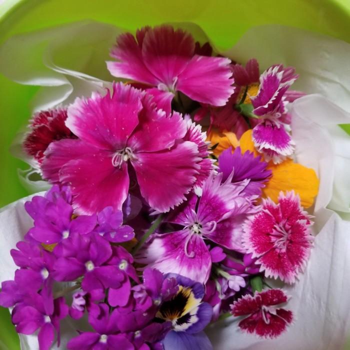 

Bahan Kue | Edible Flower Per Pack Fresh Kualitas Terbaik