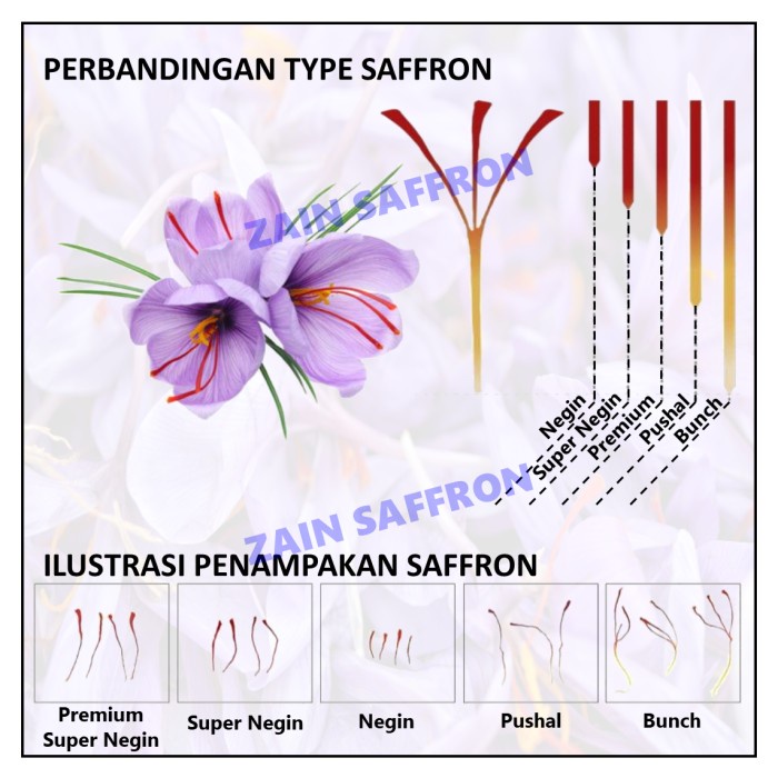 

Siap Kirim Saffron Iran - Premium Super Negin (Grade Tertinggi) - 1 Gram Safron