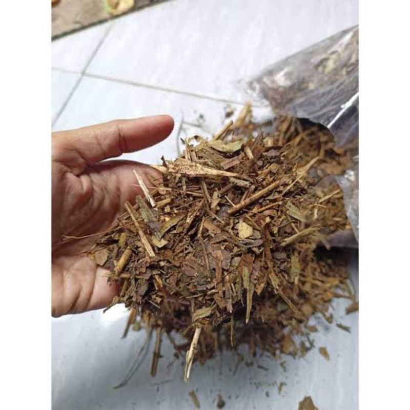 media tanam fermentasi