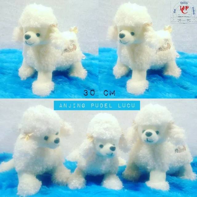 Boneka anjing pudel premium