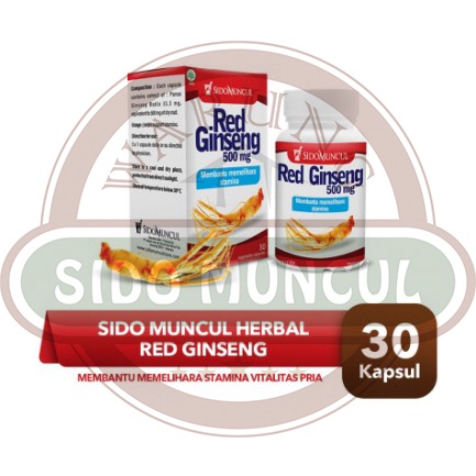 

Sido Muncul Herbal Red Ginseng 30'k - Stamina Vitalitas Seksual Pria