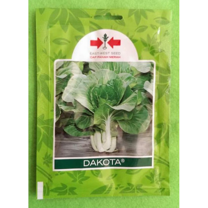 Baru Benih Sawi / Caisim Putih Dakota Pack 25 Gram - Panah Merah Barang Terjamin