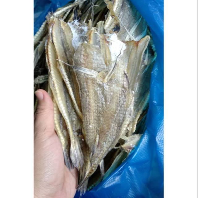 

Lumi Lumi / Siteng belah