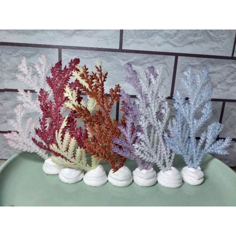 Tanaman hias aquarium "tanduk rusa besar"