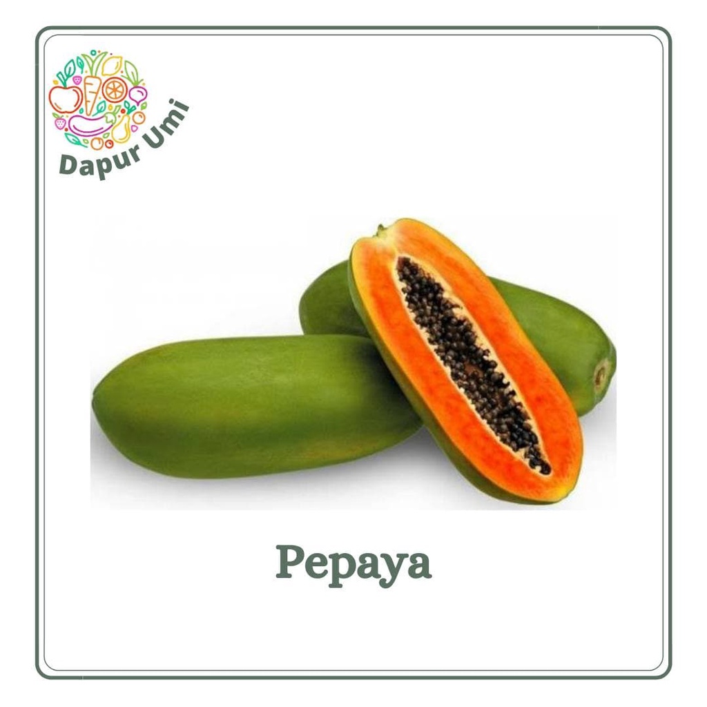 

PEPAYA - BUAH BUAHAN SEGAR PURWAKARTA