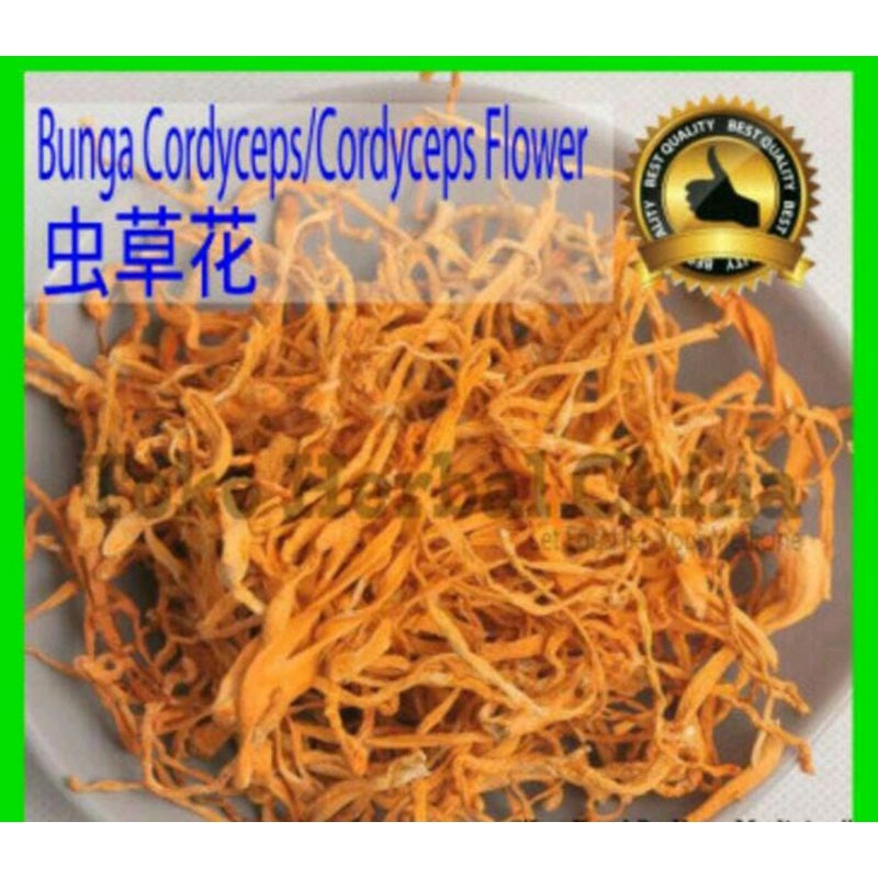 

600 G GR GRAM CHONG CAO HUA TEH BUNGA CORDYCEPS NATURAL FLOWER TEA