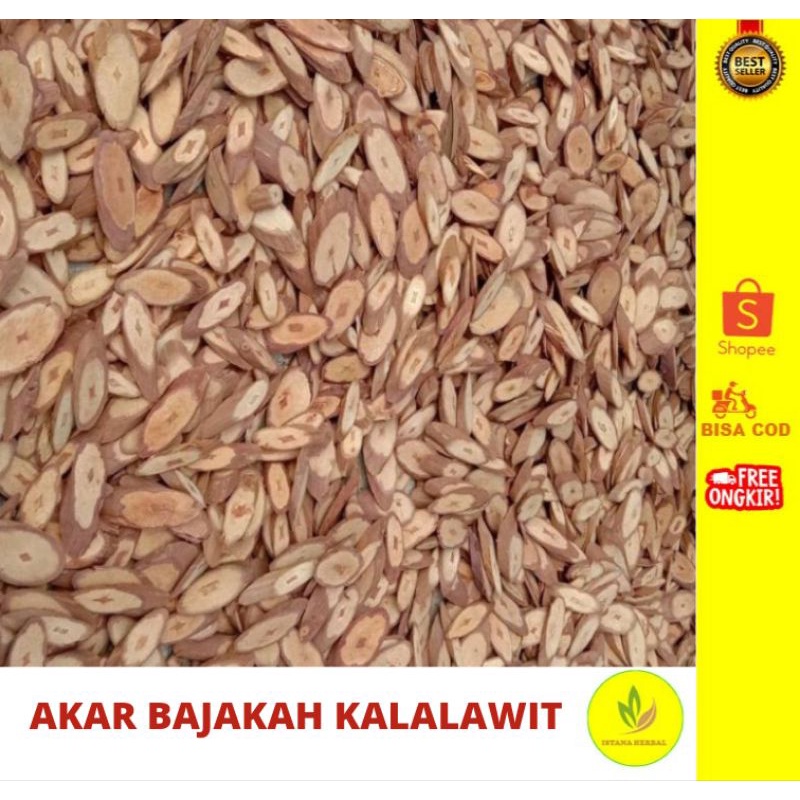 AKAR BAJAKAH KALALAWIT 1kg/AKAR BAJAKAH ASLI KALIMANTAN/AKAR BAJAKAH/KALALAWIT/BAJAKAH/ORIGINAL/TERL
