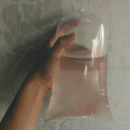 kutu air moina sp merah