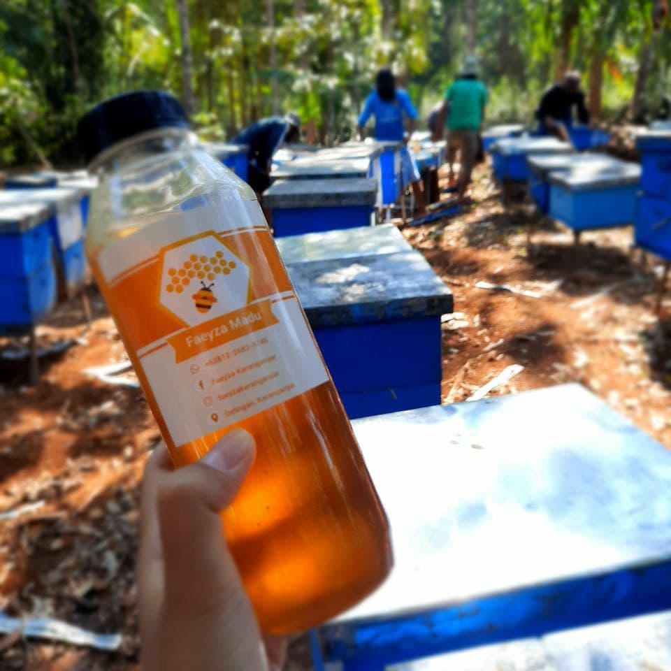 

Madu Multiflora Asli Dari Nektar Alami