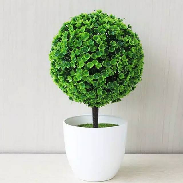 Paling Keren  25 Gambar Bunga Bonsai  Plastik Gambar Bunga HD