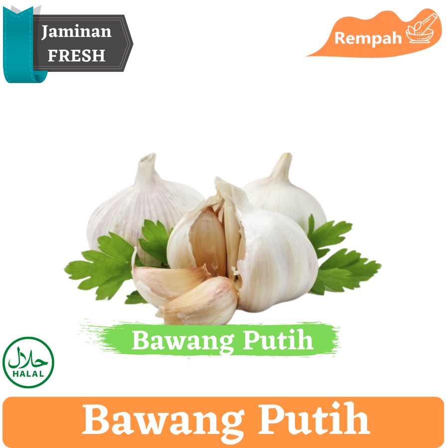 

Bawang Putih / Garlic / Buah Bumbu Sayur Masak Dapur by Pangan Export