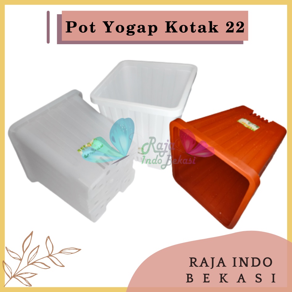 Rajaindobekasi Pot Yogap Kotak 22 Putih Transparan Bening Merah Bata Coklat Terraccota Terakota Orange Pot Yogap 10 13 15 17 18 19 25 30 Pot Yogap Lusinan Pot Kotak Segi Pesegi Empat Panjang Tinggi