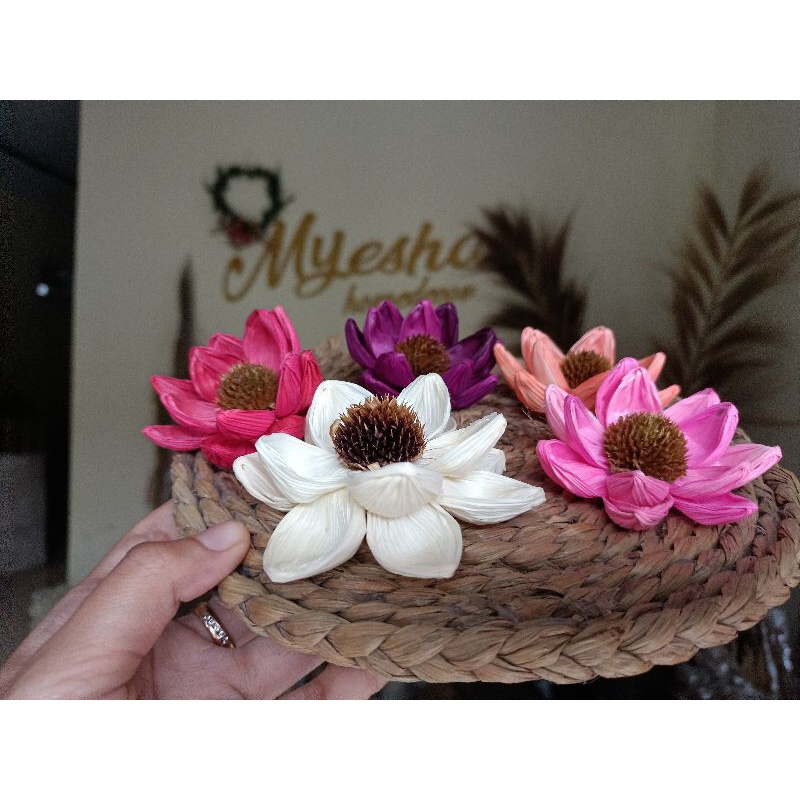 BUNGA KLOBOT TERATAI CANTIK NATURAL BUNGA KLOBOT KULIT