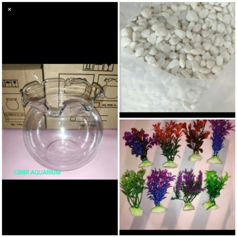 aquarium bulat paket aquarium bulat