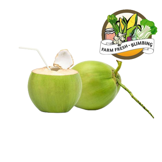 

Kelapa Muda Kupas 1pcs