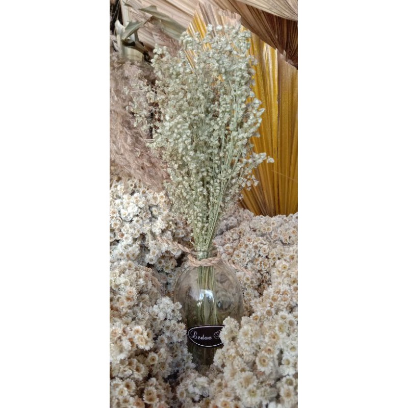 Dried Flowers Bunga Kering Babybreath Ambring  Free Botol Bening/coklat