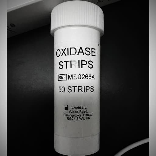 Jual OXOID MB0266A OXIDASE STRIPS 50 STRIPS Shopee Indonesia